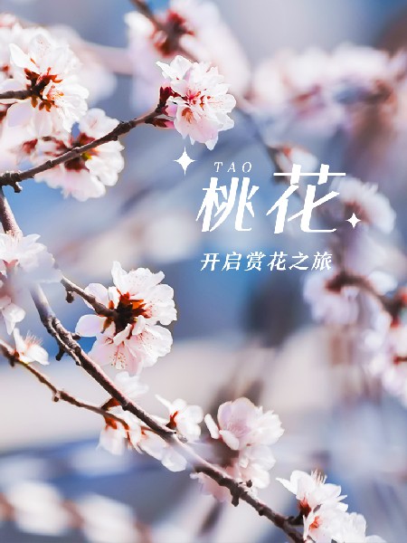 追花指南第三期！別等了 今天就去和桃花撞個(gè)滿懷