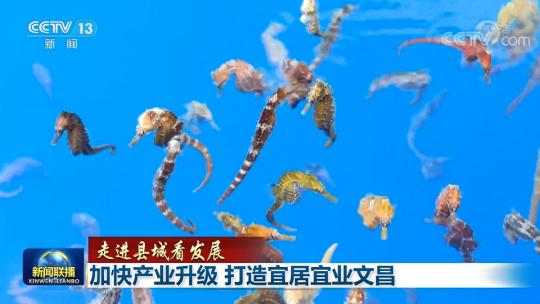 【走進縣城看發展】加快產業升級 打造宜居宜業文昌