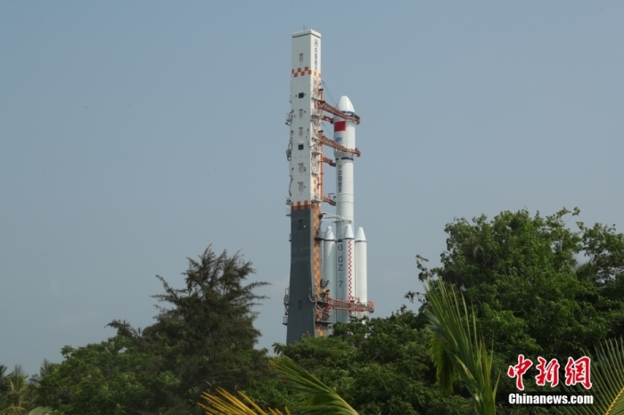 圖為轉(zhuǎn)運現(xiàn)場。攝影 邱立軍 黃國暢