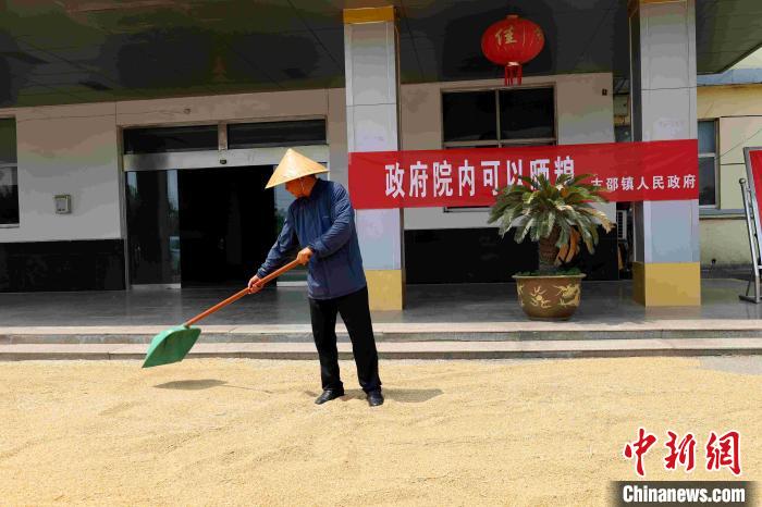 村民在棗莊市嶧城區古邵鎮政府大院內晾曬糧食。 胡瑾瑜 攝