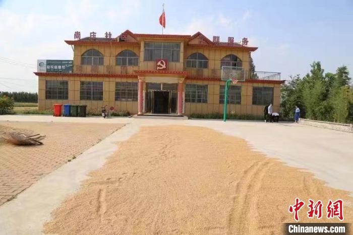 農民在邳莊鎮尚莊村黨群服務中心大院里曬糧。 賈萌 攝