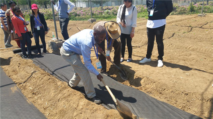 孫釗現場指導農民耕種。受訪者供圖