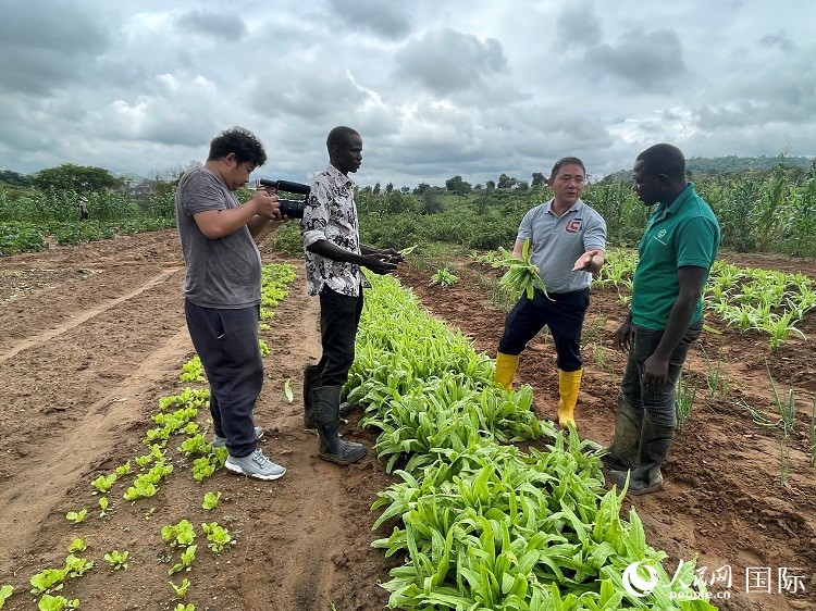 人民網記者走進尼日利亞農業技術示范中心。人民網記者 趙艷紅攝
