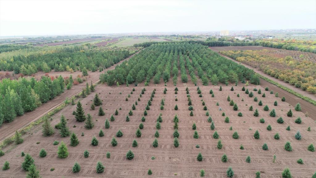 這是2023年9月11日在哈薩克斯坦首都阿斯塔納拍攝的一處植物種質資源苗圃（無人機照片）。新華社發（法爾哈特·圖克諾夫 攝）