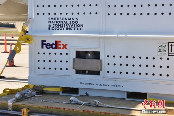 當(dāng)?shù)貢r(shí)間11月8日，美國(guó)華盛頓史密森學(xué)會(huì)國(guó)家動(dòng)物園的大熊貓“美香”“添添”和它們的幼崽“小奇跡”乘坐的專機(jī)從華盛頓杜勒斯國(guó)際機(jī)場(chǎng)起飛前往中國(guó)成都。圖為裝有大熊貓的特制“旅行箱”。<a target='_blank' href='/'><p  align=