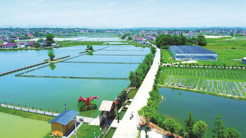 近年來，大成橋鎮堅持加強黨對鄉村治理的集中統一領導，該鎮鄉村治理模式入選第二批全國鄉村治理典型案例。圖為美麗的大成橋鎮。（資料圖片）