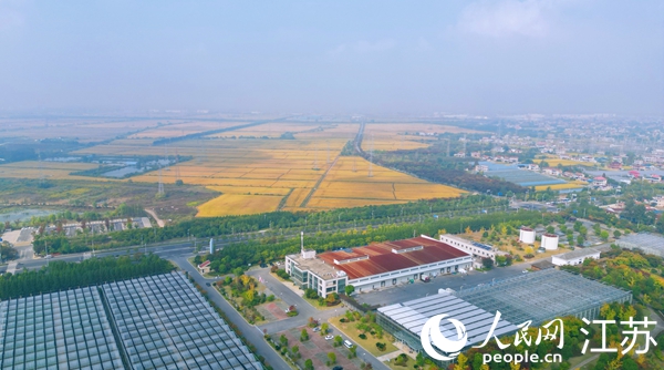 位于幸福街道的“萬頃良田”。人民網記者 王繼亮攝