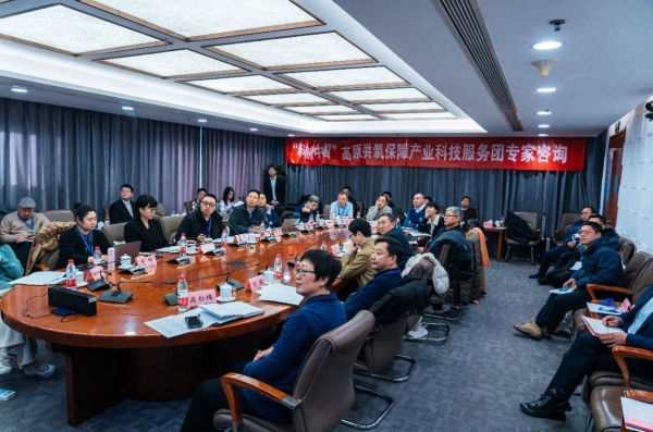 專家把脈西藏氧產業:高原旅游亟需突破“氧瓶頸”