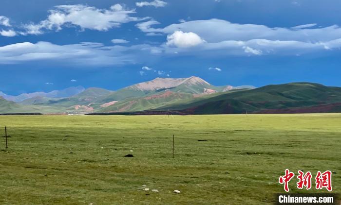 青海:科技提升草原生態修復能力促進生產發展