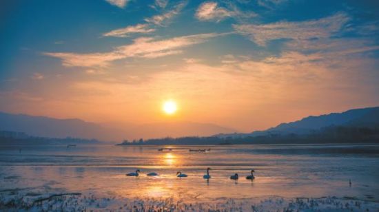 黃河冬之晨。