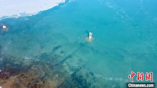 圖為冬日青海湖。 李江寧 攝