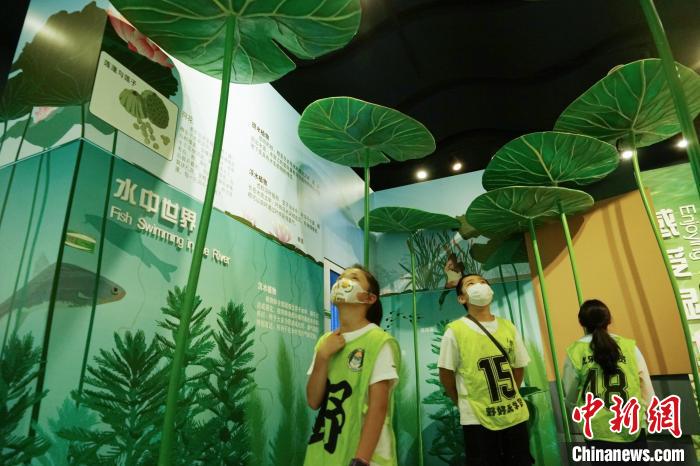 圖為小朋友在青海西寧湟水國家濕地公園科普館內參觀學習。　馬銘言 攝