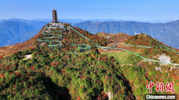 巴山大峽谷彩林迎來最佳觀賞期。　姚盛 攝