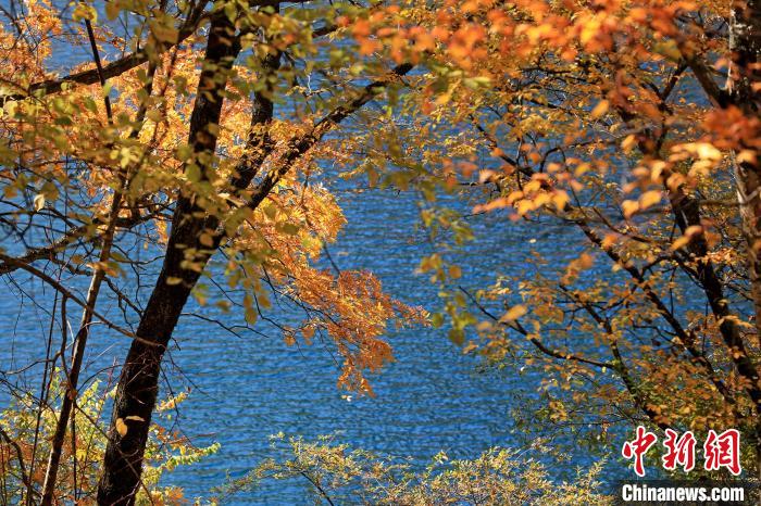 松坪溝風光。 劉通 攝
