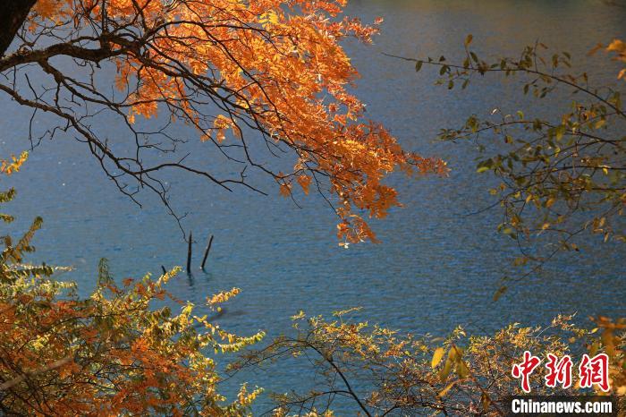 松坪溝風光。　劉通 攝