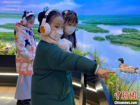 圖為學生在西寧市第一中學濕地科普宣教館內參觀?！±罱瓕?攝