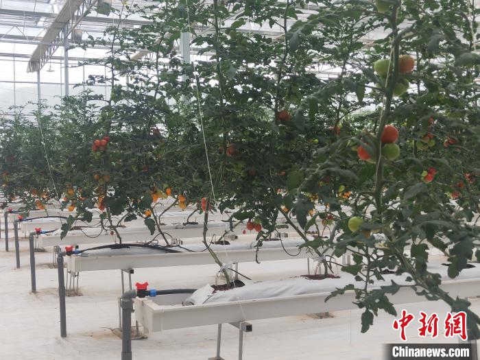 四川涼山持續發力攻克貧困“堡壘”多措并舉迎脫貧“大考”