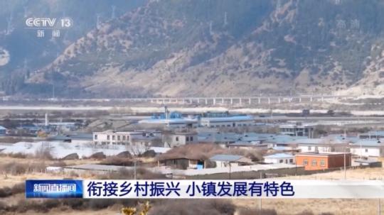 種蘑菇、養(yǎng)駱駝...。。特色產(chǎn)業(yè)助力鄉(xiāng)村振興走新路