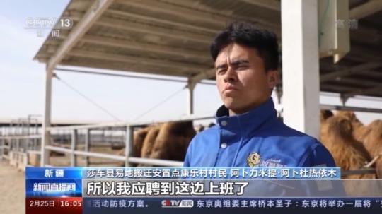 種蘑菇、養(yǎng)駱駝...。。特色產(chǎn)業(yè)助力鄉(xiāng)村振興走新路