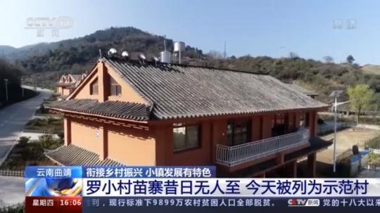 種蘑菇、養(yǎng)駱駝...。。特色產(chǎn)業(yè)助力鄉(xiāng)村振興走新路