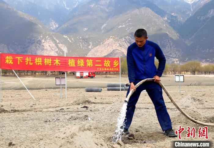 林芝市巴宜區森林消防中隊志愿服務隊澆水灌溉。　西繞拉翁 攝