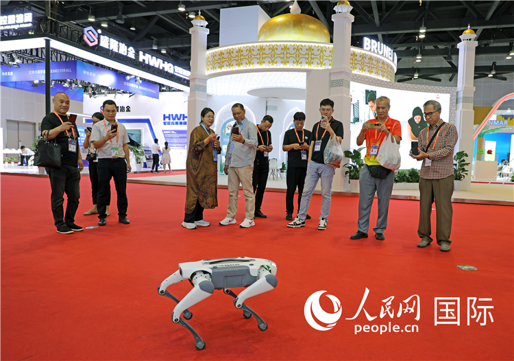 東博會上，觀眾正在參觀一只機器狗。綠色能源、新能源汽車、綠色農產品等成為本屆東博會觀眾關注的焦點。人民網記者 趙益普攝