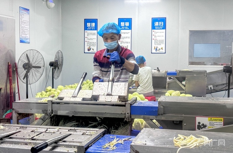 高質量發展看中國 | 廣西:三產融合“潤澤”鄉村沃土 讓農民腰包越來越鼓