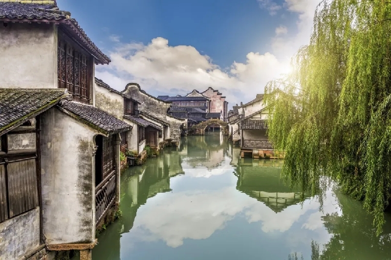 烏鎮動觀察｜這個字，牽起國際交流互鑒之紐帶