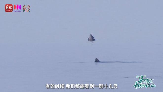 “縣”在起筆 青綠繪江山 | 江灣沐曉：褪去“銹色”走“金線”，繡出生態與產業“雙面錦”