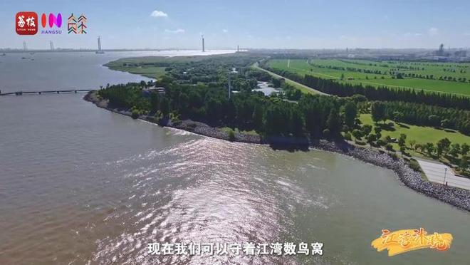 “縣”在起筆 青綠繪江山 | 江灣沐曉：褪去“銹色”走“金線”，繡出生態與產業“雙面錦”