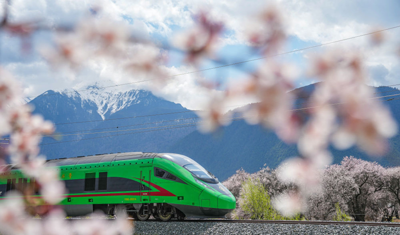 2025年4月2日，復(fù)興號(hào)列車穿行在拉林鐵路林芝段。