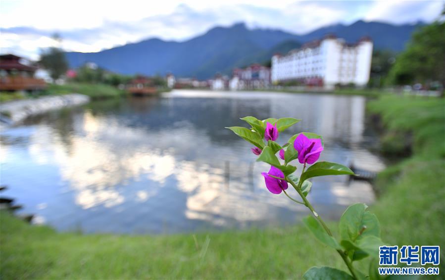 (新華視界)(7)綠色墨脫