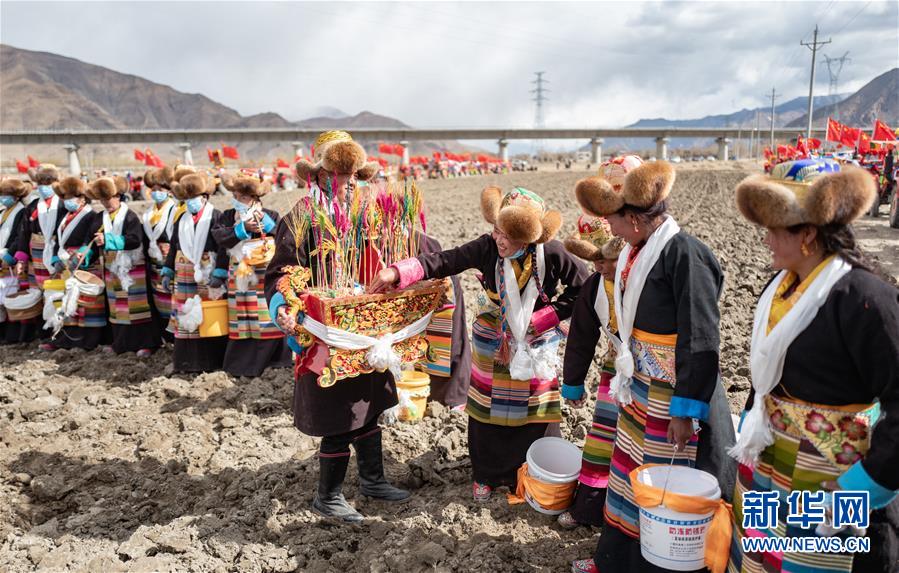 （經濟）（3）西藏：春耕第一犁