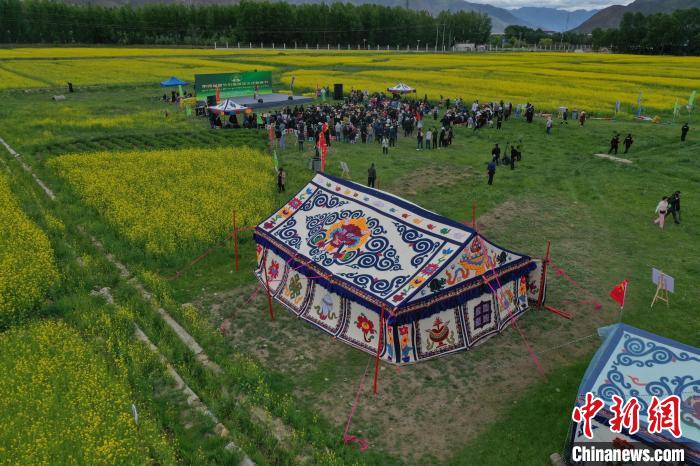 西藏油菜花海:以花為媒領(lǐng)略高原之美