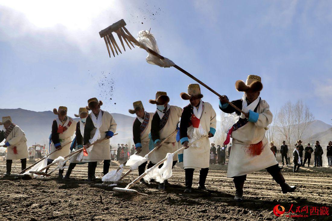 當地村民身著節日盛裝，舉行春耕儀式。人民網 次仁羅布攝