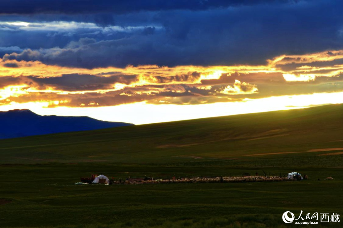 黃昏下的帳篷,牧民過著幸福生活。 人民網(wǎng) 李海霞攝