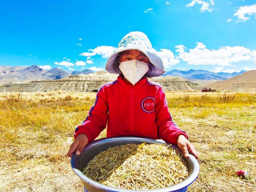 西藏吉隆：帶你沉浸式體驗秋收打場【9】