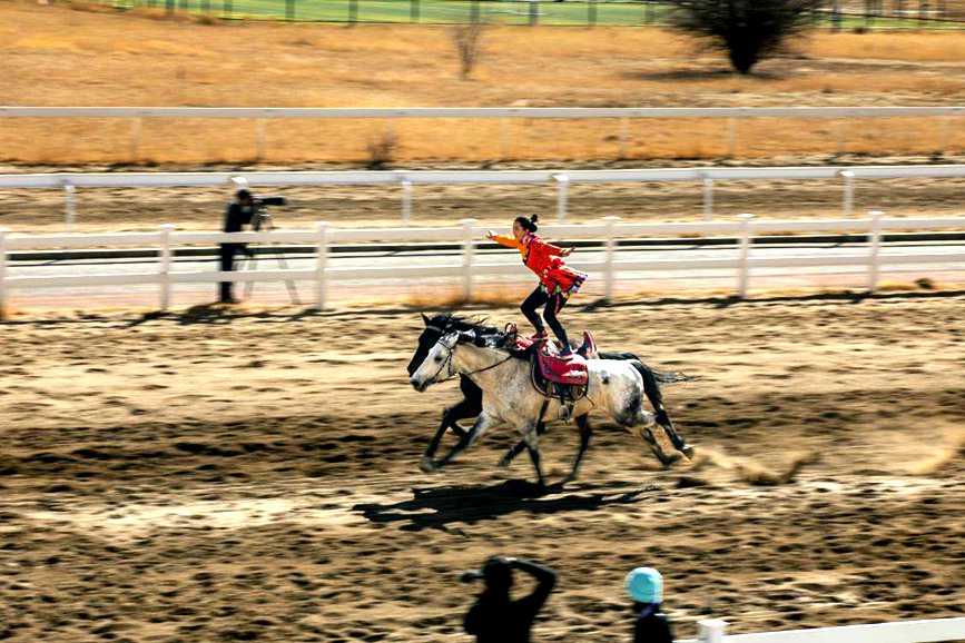 藏歷新年，精彩的馬術表演。張靜攝
