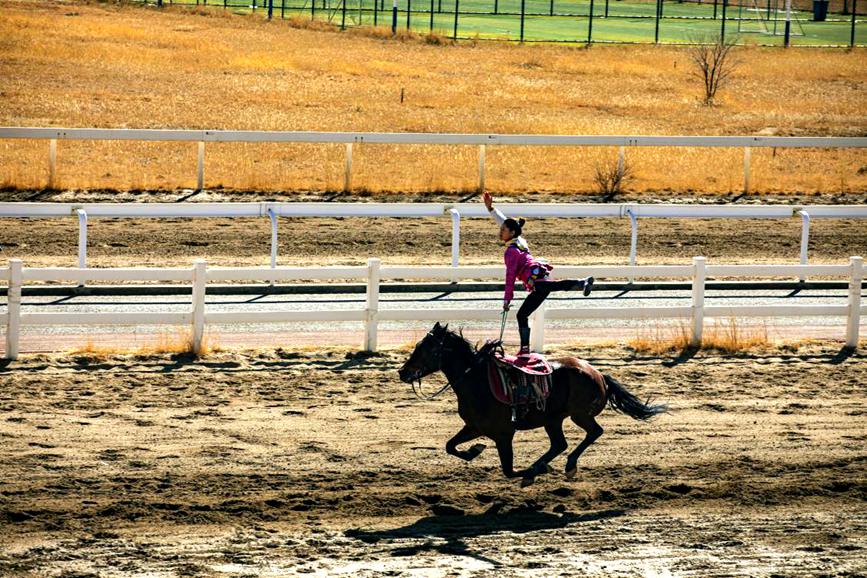 藏歷新年，精彩的馬術表演。張靜攝