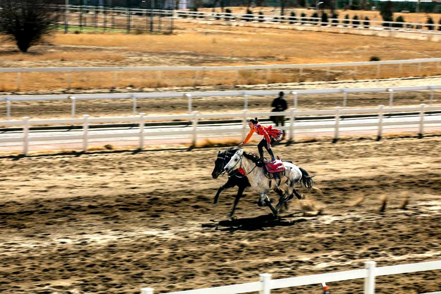 藏歷新年，精彩的馬術表演。張靜攝