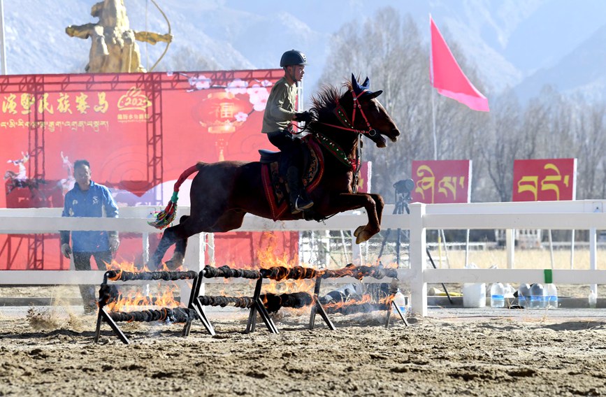 藏歷新年，精彩的馬術表演。潘多攝
