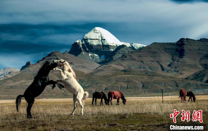 圖為參展攝影師拍攝的西藏阿里岡仁波齊。　主辦方 供圖