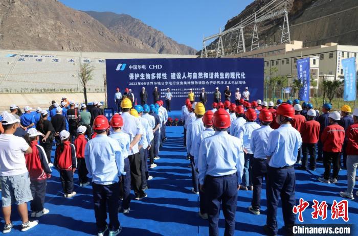 圖為蘇洼龍水電站魚類放流現場。　蘇洼龍水電站供圖