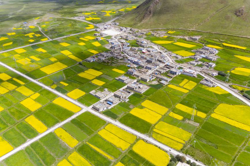 航拍道布龍村，依山傍水，阡陌縱橫。