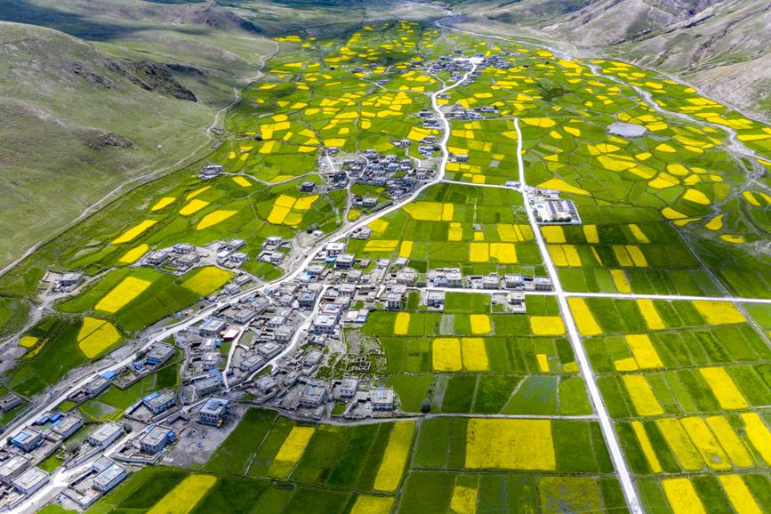 航拍道布龍村，依山傍水，阡陌縱橫。