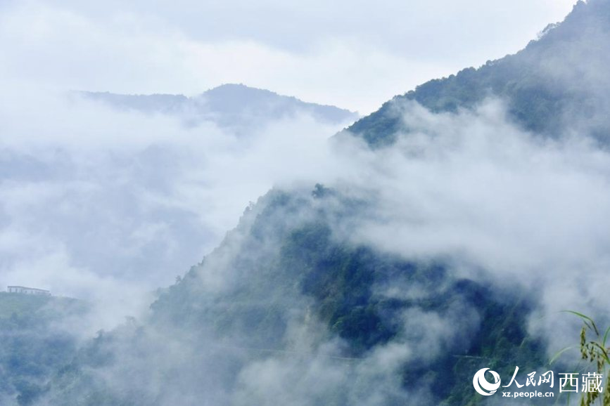 秋日里的墨脫云海。人民網 李海霞攝