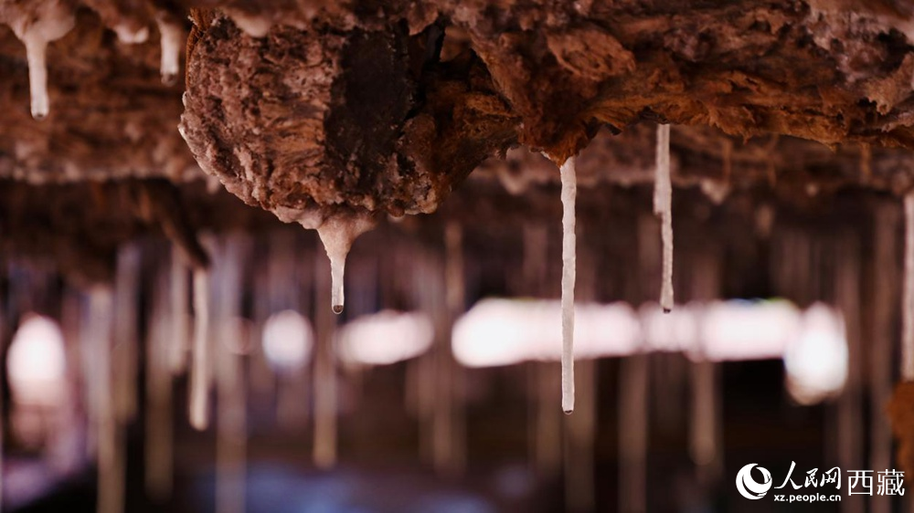 自然滲下的鹽柱結晶。人民網記者 次仁羅布攝